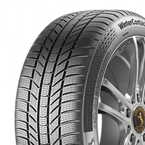 Continental WinterContact TS 870P 255/45R18